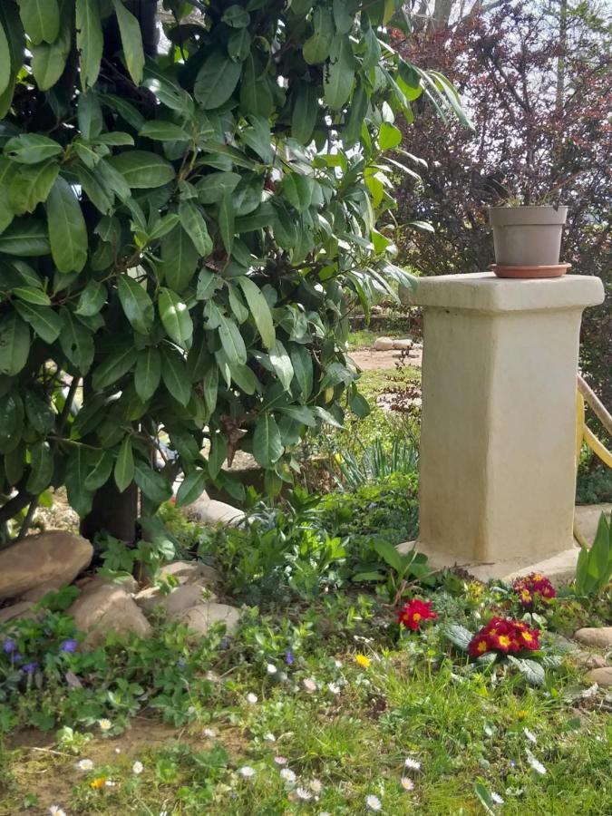 Villa Amai Lequio Tanaro 外观 照片