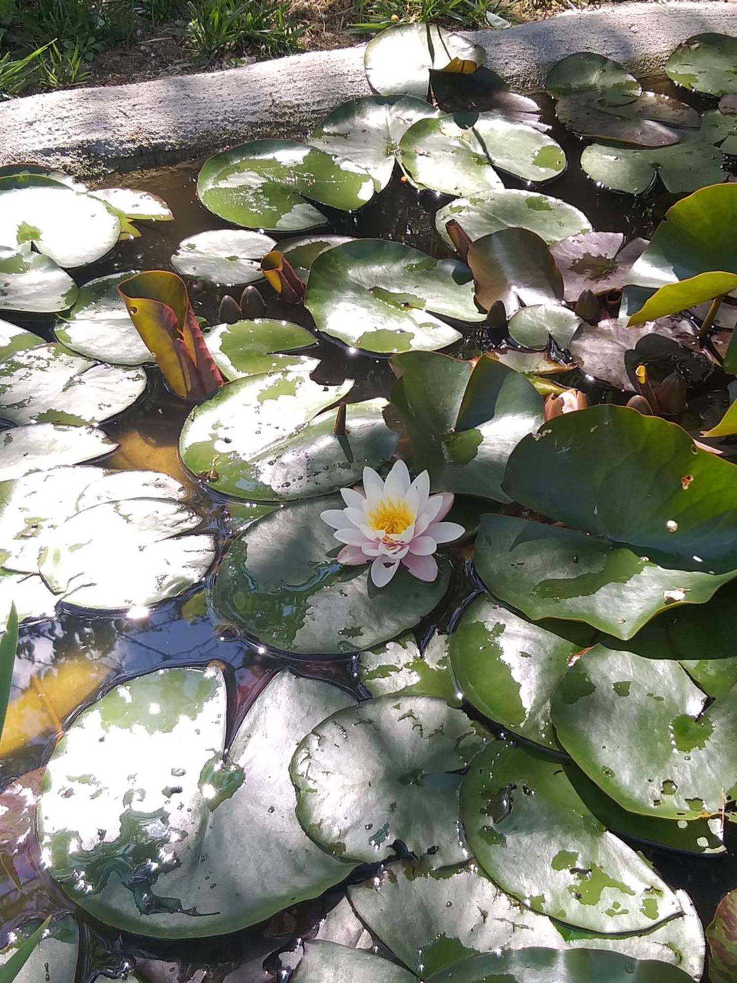 Villa Amai Lequio Tanaro 外观 照片